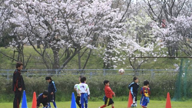 サッカーを教えている